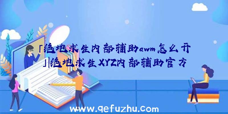 「绝地求生内部辅助awm怎么开」|绝地求生XYZ内部辅助官方网站